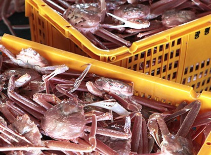 화면 캡처 2026-02-05 204454.jpg