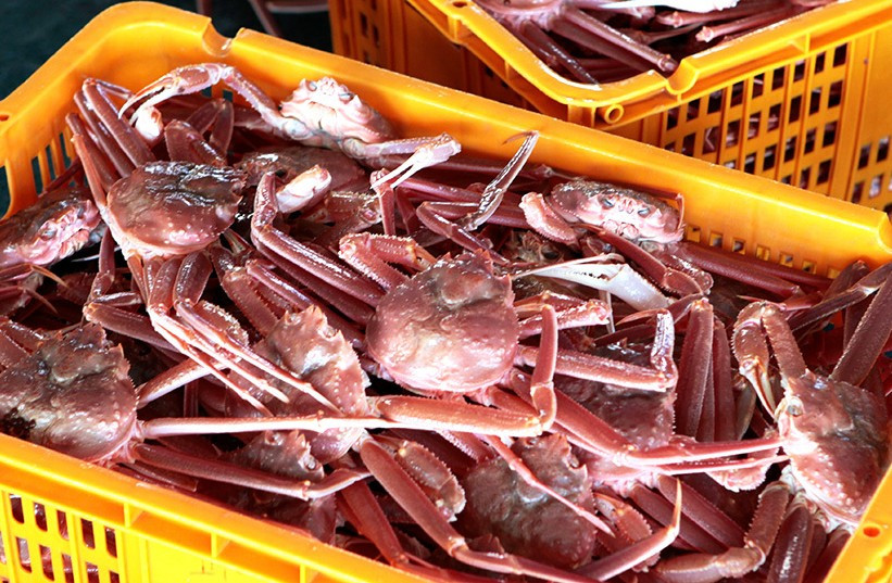 화면 캡처 2026-02-05 204507.jpg