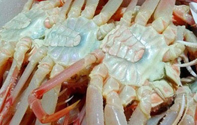 화면 캡처 2026-02-05 204419.jpg