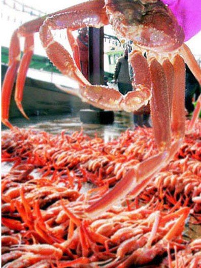 화면 캡처 2026-02-05 204428.jpg