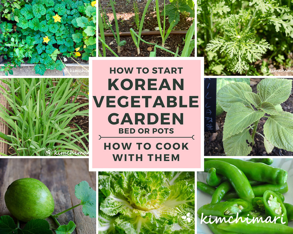 Korean-Vegetables-to-Grow-How-to.jpg