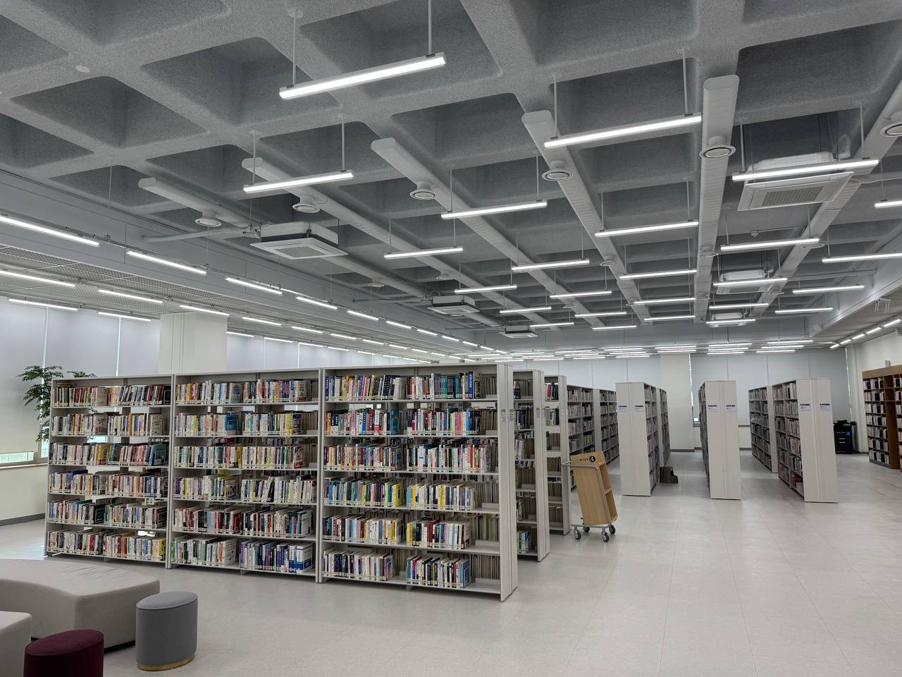 20260319 도서관 투어 한밭도서관 07 3층 종합자료실 15.jpg