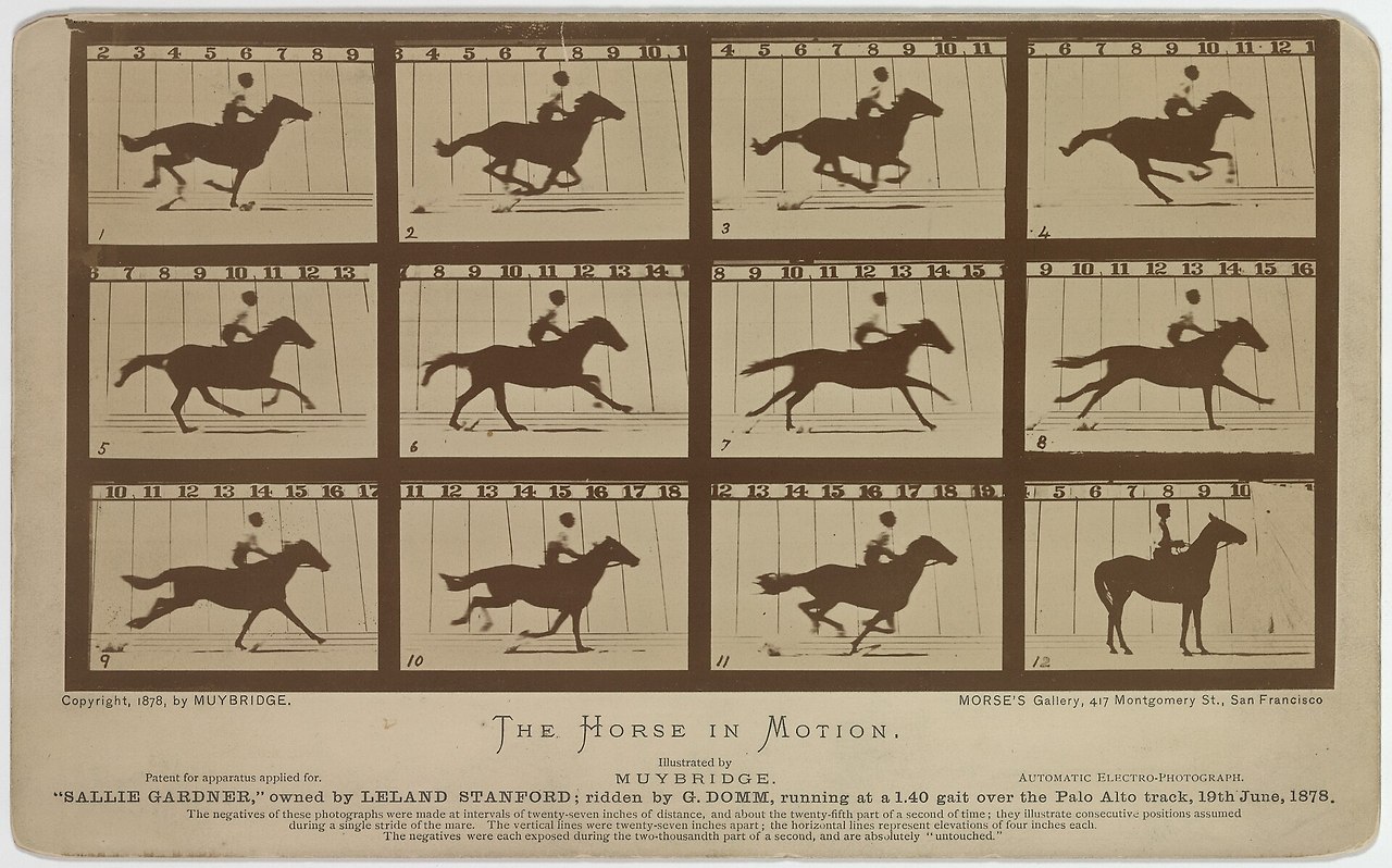 Eadweard_Muybridge-Sallie_Gardner_1878.jpg