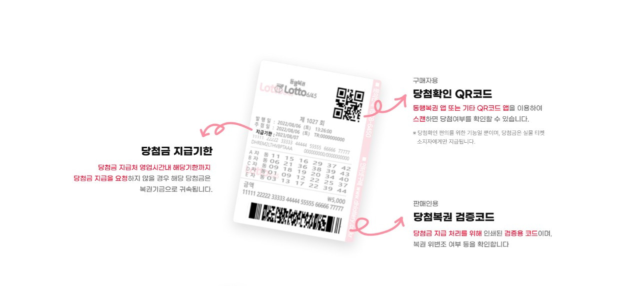 화면 캡처 2026-02-05 204419.jpg