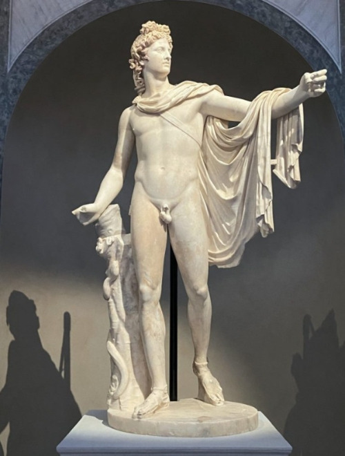 apollo-del-belvedere-mano-di-baia-768x1024.jpg