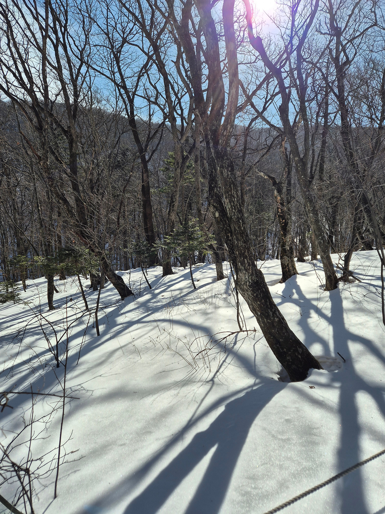 은밀한 햇살.jpg