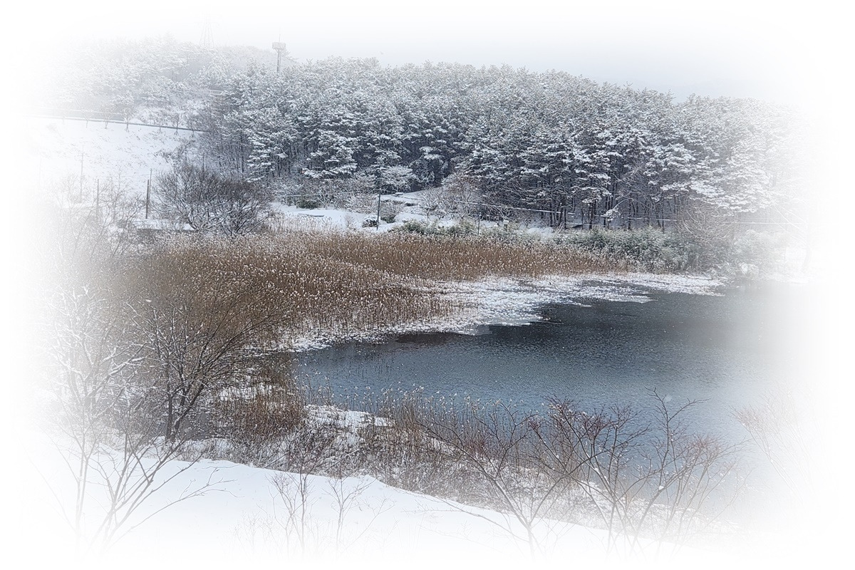 6장.눈과저수지 1200.800.jpg