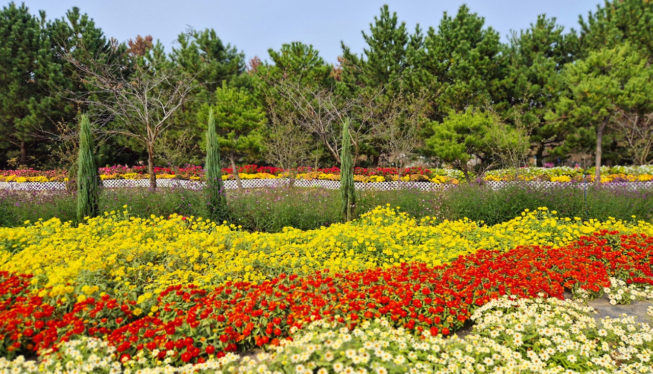 화면 캡처 2026-02-01 171128.jpg