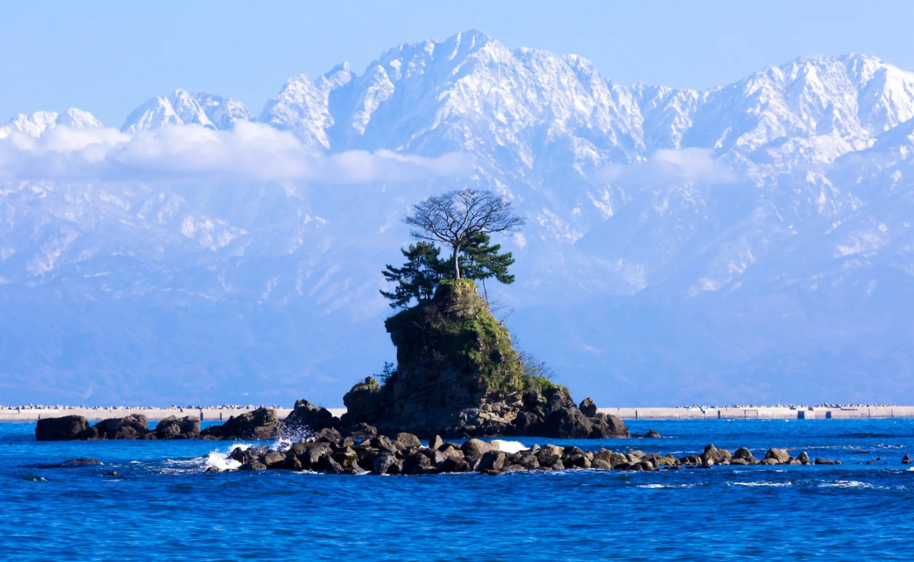 화면 캡처 2026-02-12 094951.jpg