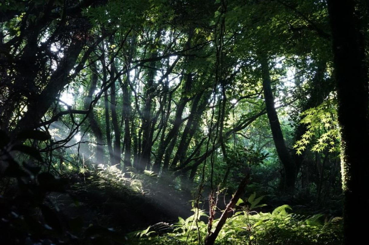 화면 캡처 2026-03-09 084931.jpg