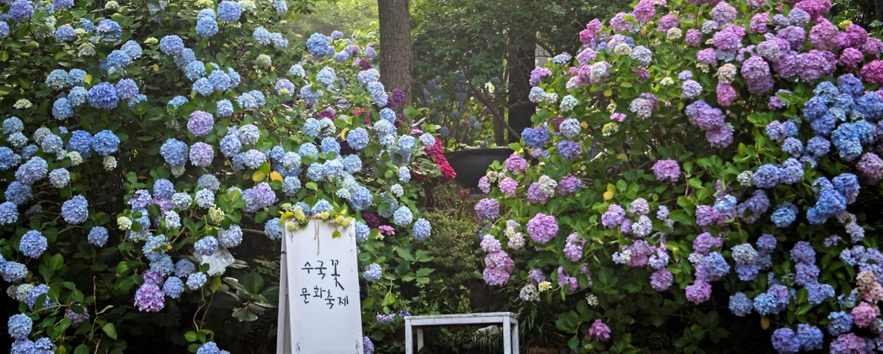 화면 캡처 2026-03-08 135141.jpg