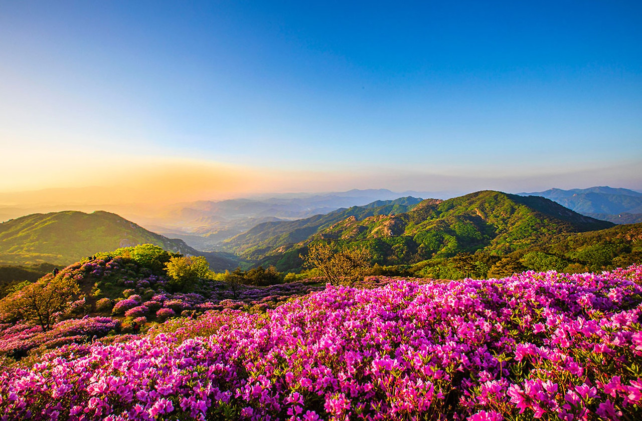 화면 캡처 2026-03-08 135925.jpg