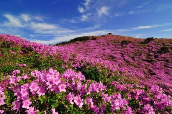 화면 캡처 2026-03-08 135826.jpg