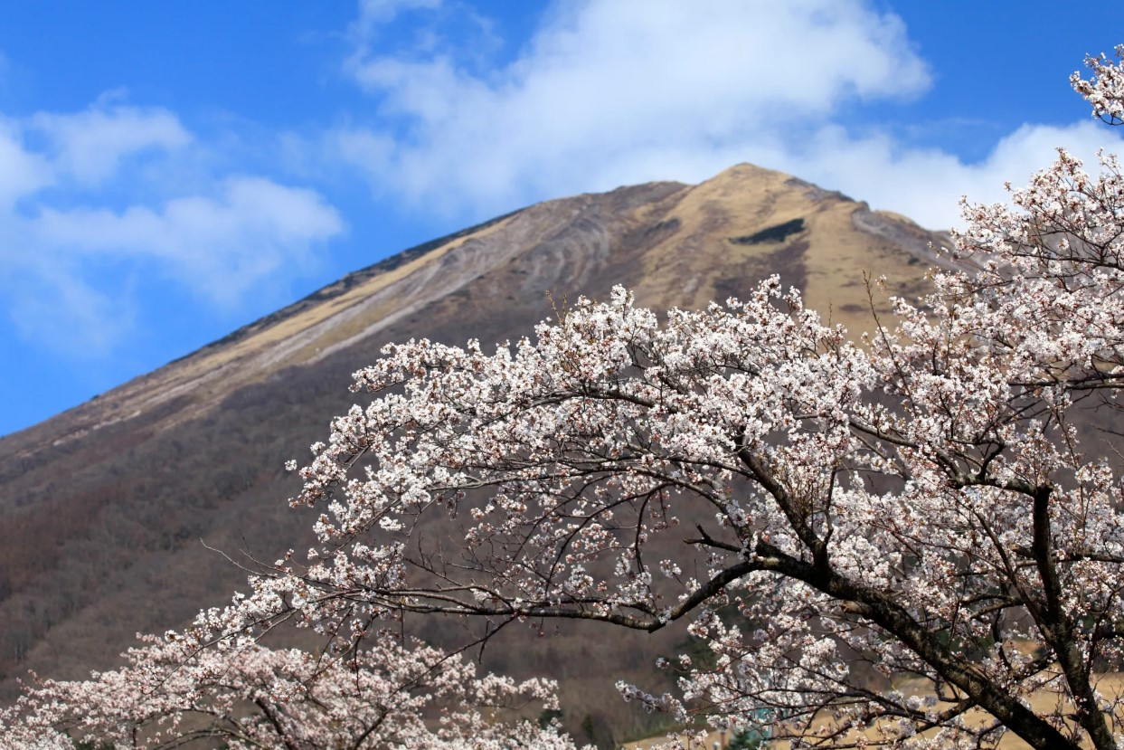 화면 캡처 2026-04-13 100424.jpg