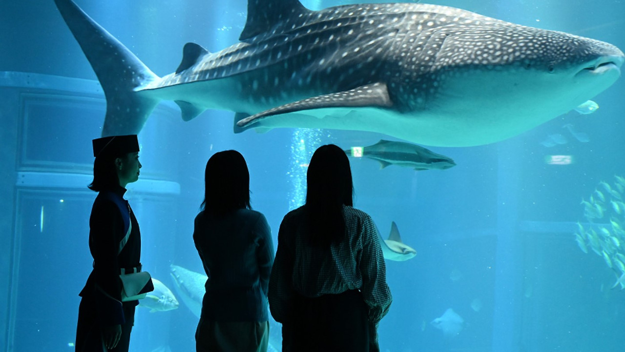 화면 캡처 2026-02-23 101227.jpg