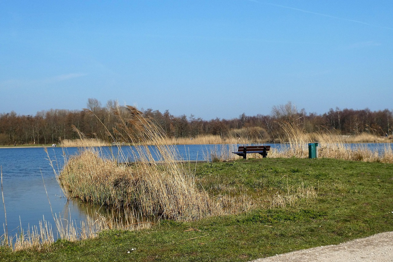 9편, 호숫가 벤치-본문.jpg