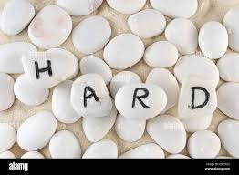 바로가기 (95).jpg