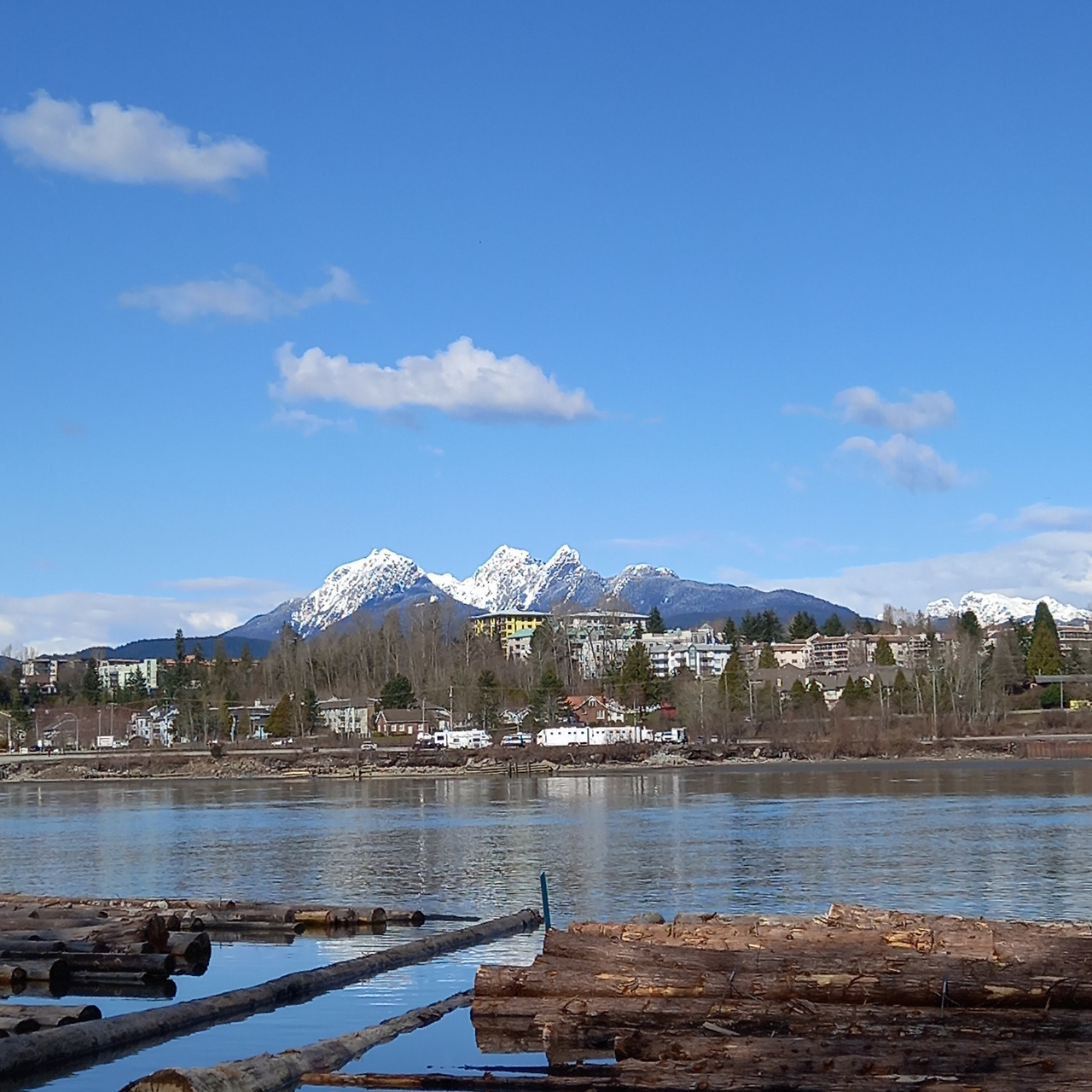 프레이저강(내맘의 강물).jpg