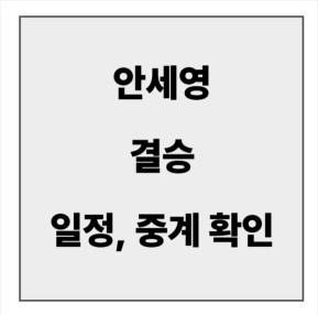 final_안세영 결승 일정 중계.jpg