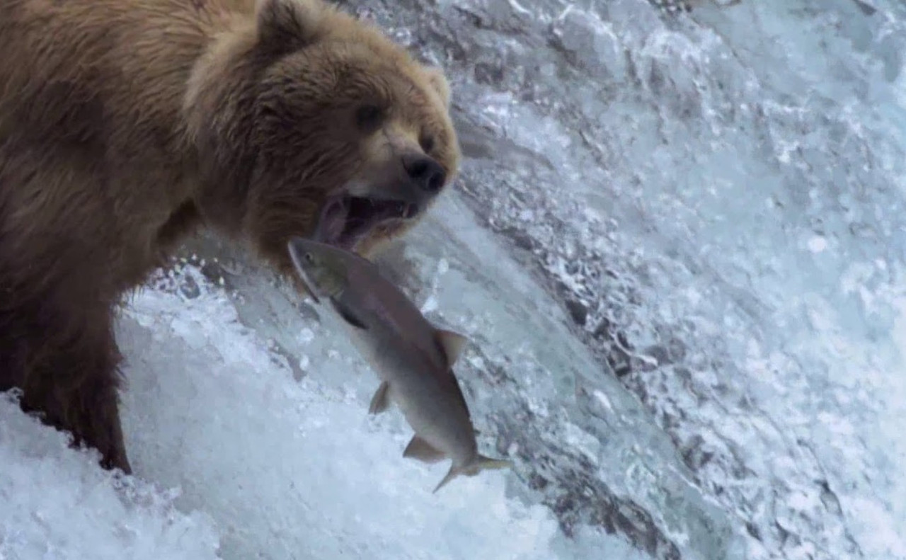 Screenshot 2026-02-07 130522.jpg