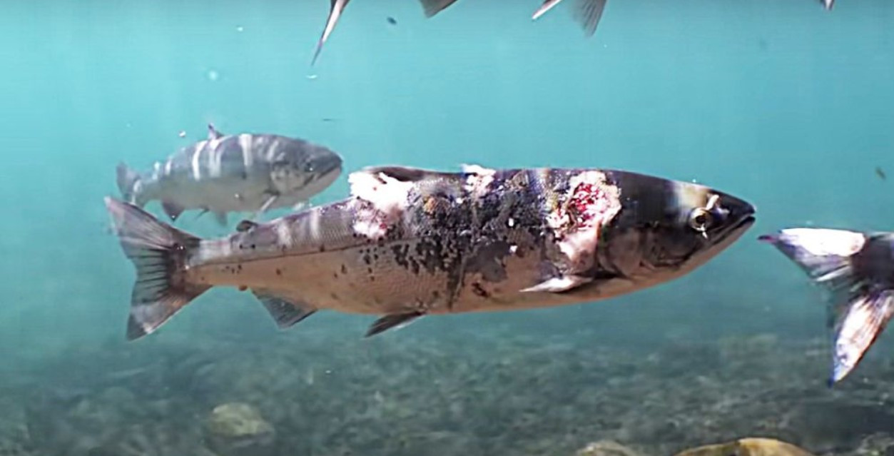 Screenshot 2026-02-07 131220.jpg