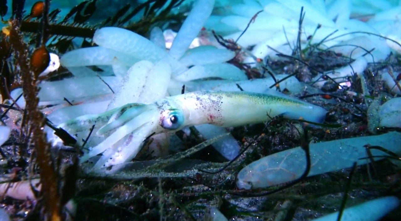 Screenshot 2026-02-08 170741.jpg