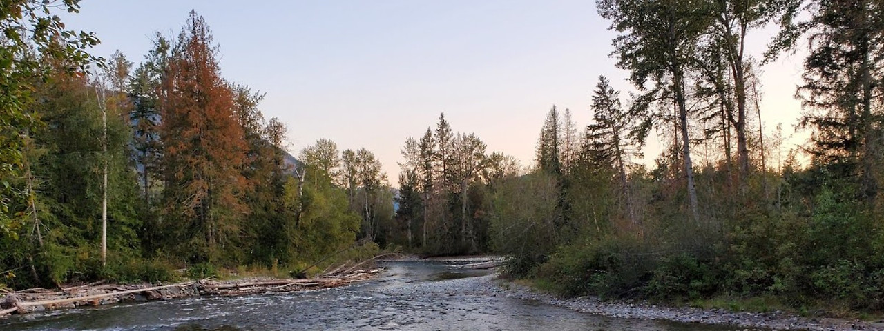 Screenshot 2026-02-07 130952.jpg