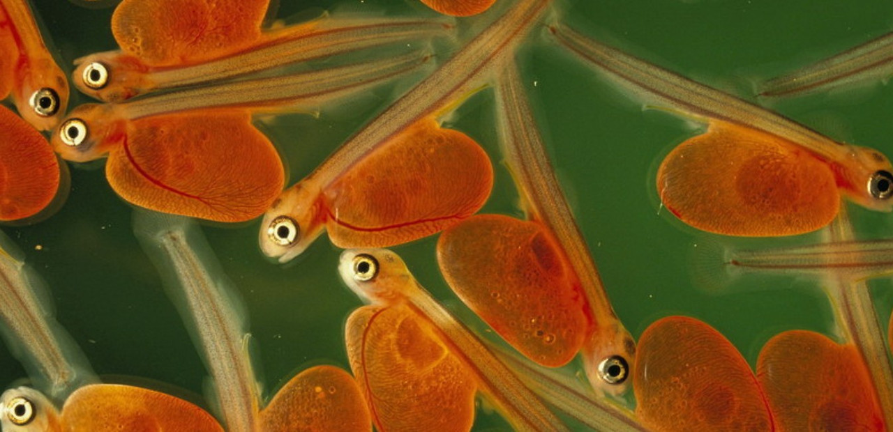 Screenshot 2026-02-07 132248.jpg