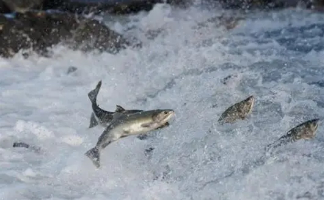 Screenshot 2026-02-07 130008.jpg