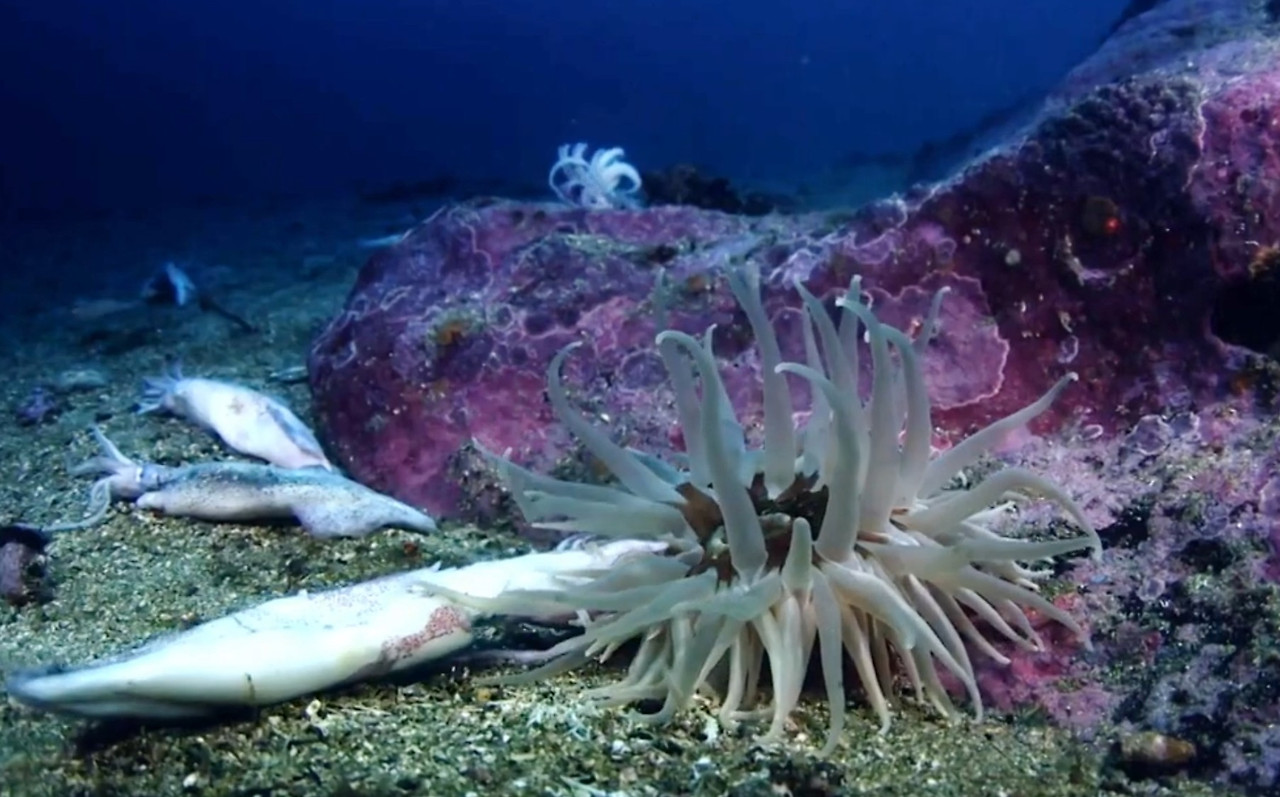 Screenshot 2026-02-08 170821.jpg