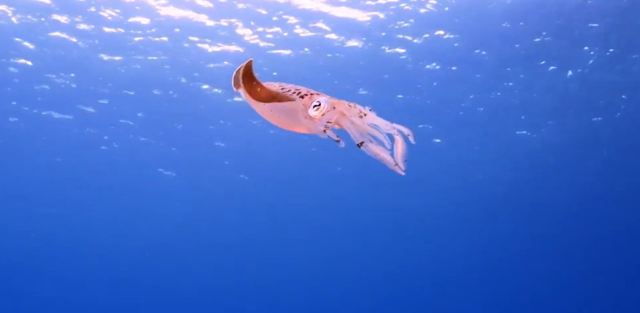 Screenshot 2026-02-08 170932.jpg