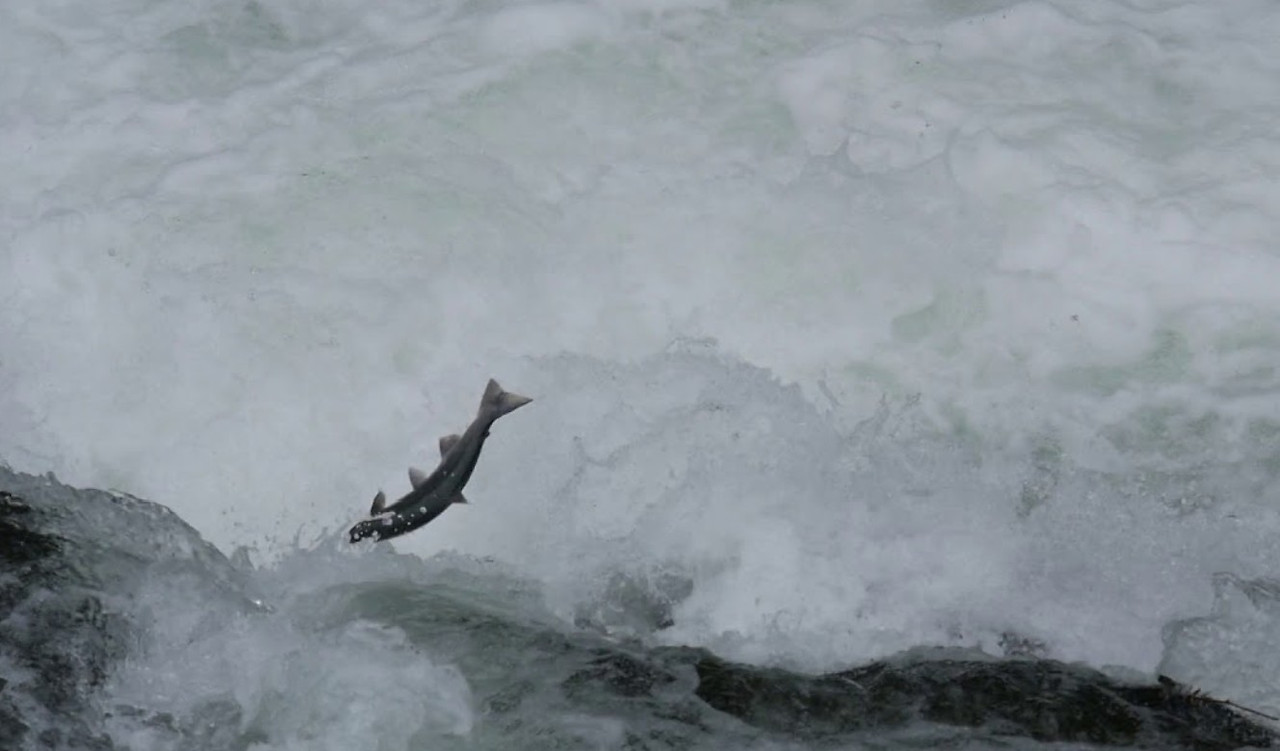 Screenshot 2026-02-07 130145.jpg