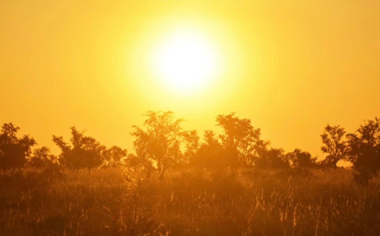 Screenshot_20260226_215047_Samsung Notes.jpg