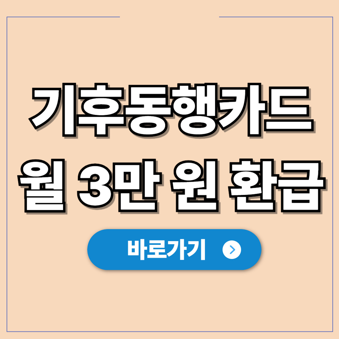 2026년 기후동행카드 월 3만 원 환급 페이백 신청.jpg