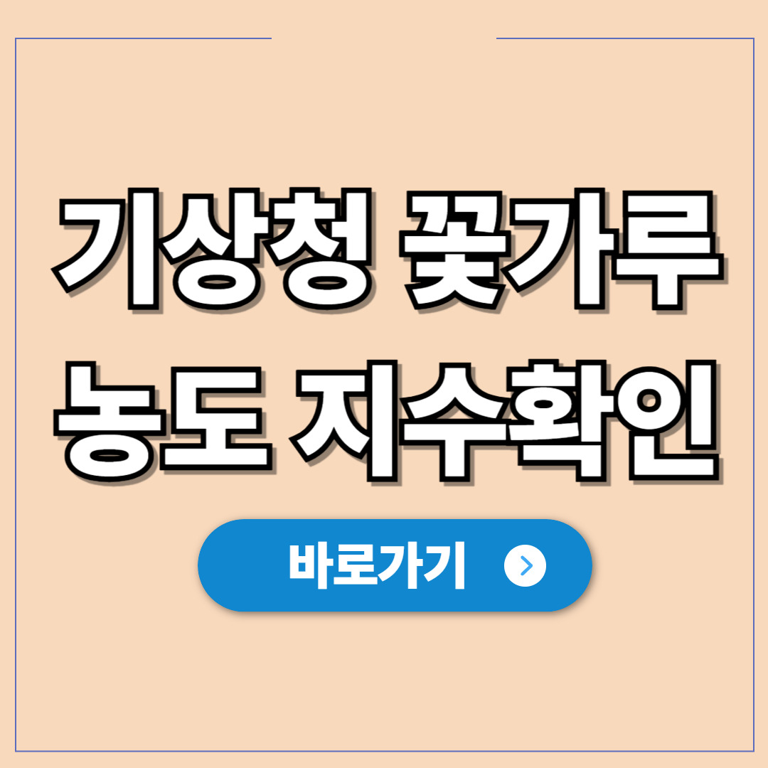 기상청 꽃가루 농도 위험지수 확인 및 조치 방법.jpg