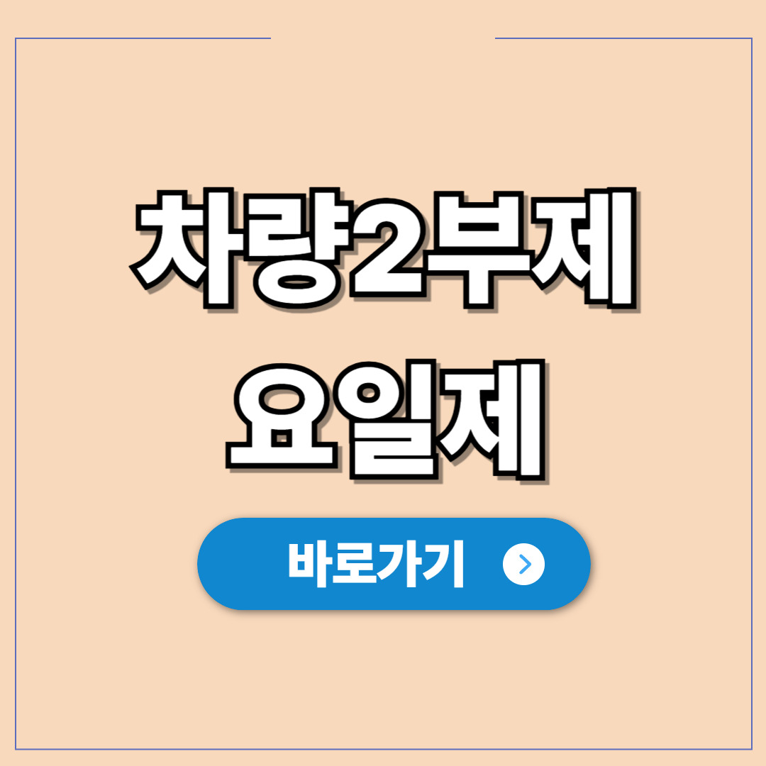 차량요일제 시행, 단속 피하고 자동차세 감면.jpg