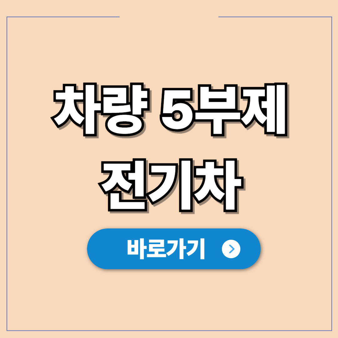 공공기관 차량 5부제 전기차 제외 여부, 총 정리.jpg