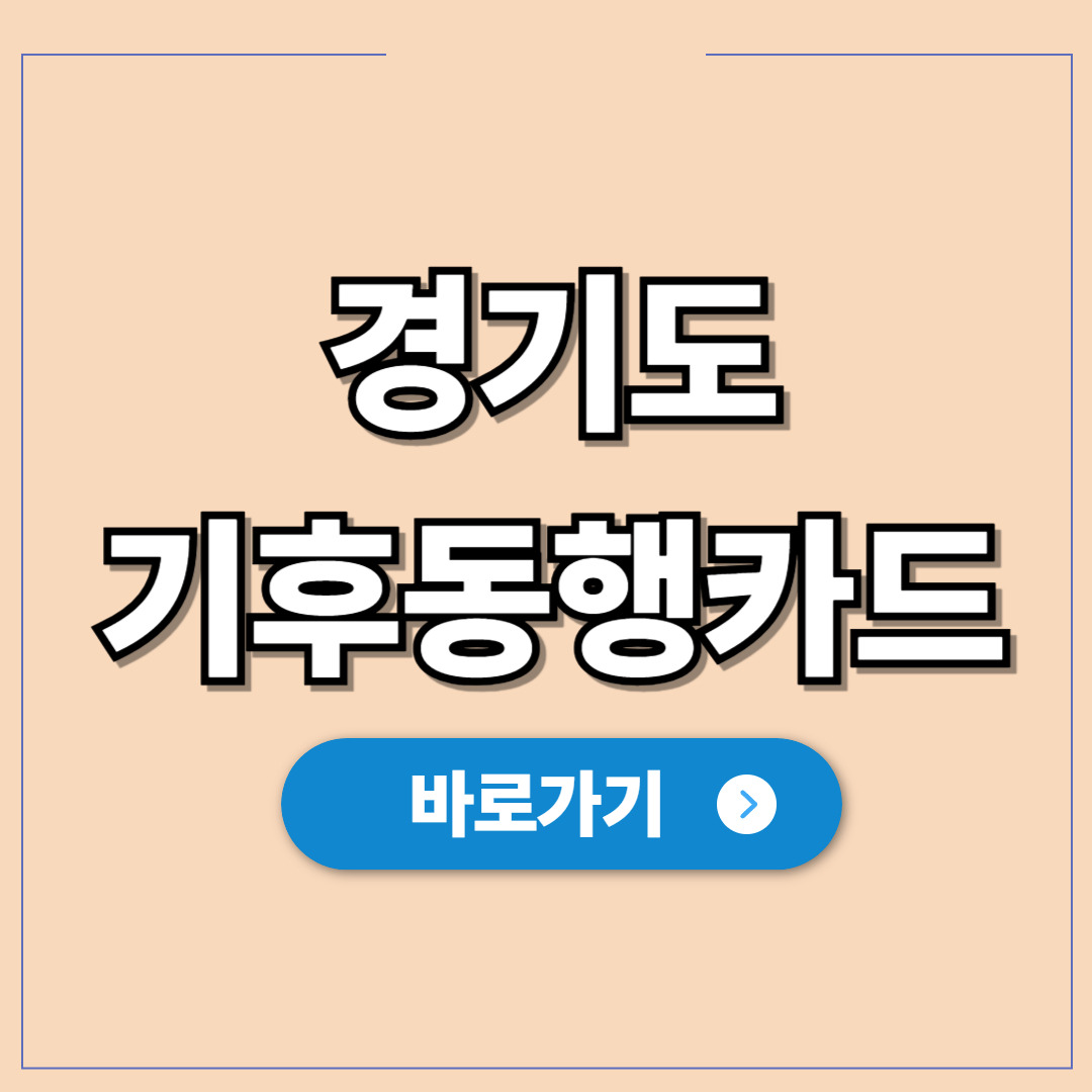 경기도 기후동행카드, 경기도민도 서울 무제한 혜택.jpg