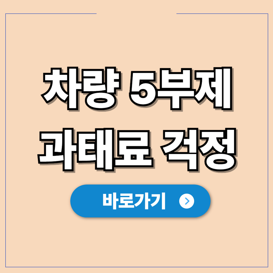 부산 차량 5부제 완벽 가이드, 과태료 걱정 없는 방법.jpg