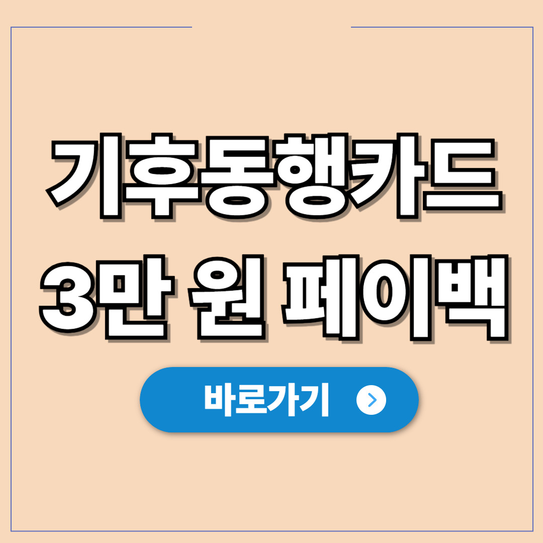 기후동행카드 3만 원 페이백 및 청년 사후 환급 방법.jpg