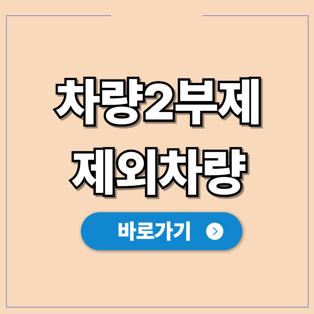 차량2부제 제외차량, 단속 피하고 과태료 안 내는 법량.jpg