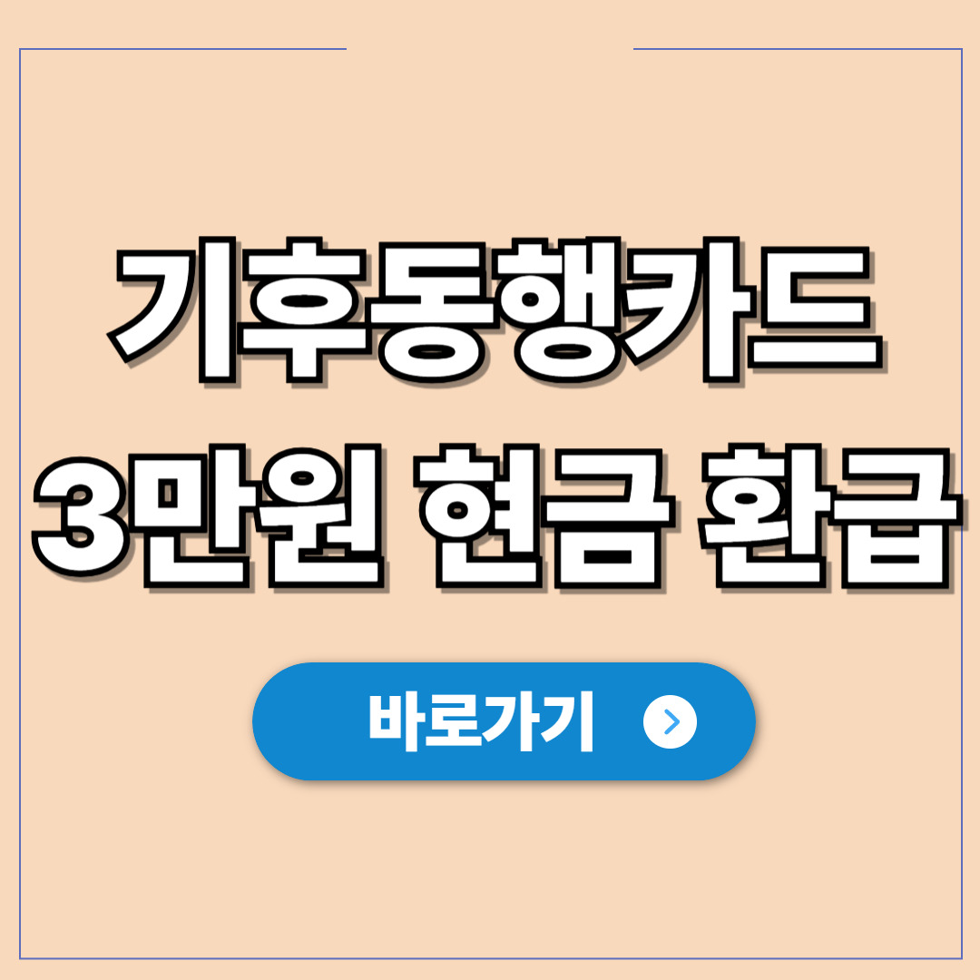 기후동행카드 3만원 현금 환급(페이백) 신청 및 환불.jpg
