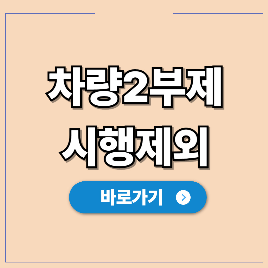 차량5부제 시행제외차량, 단속 피하고 출입 제한 해결.jpg
