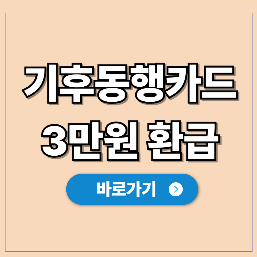 기후동행카드 월3만원 환급, 공짜 교통비 신청.jpg