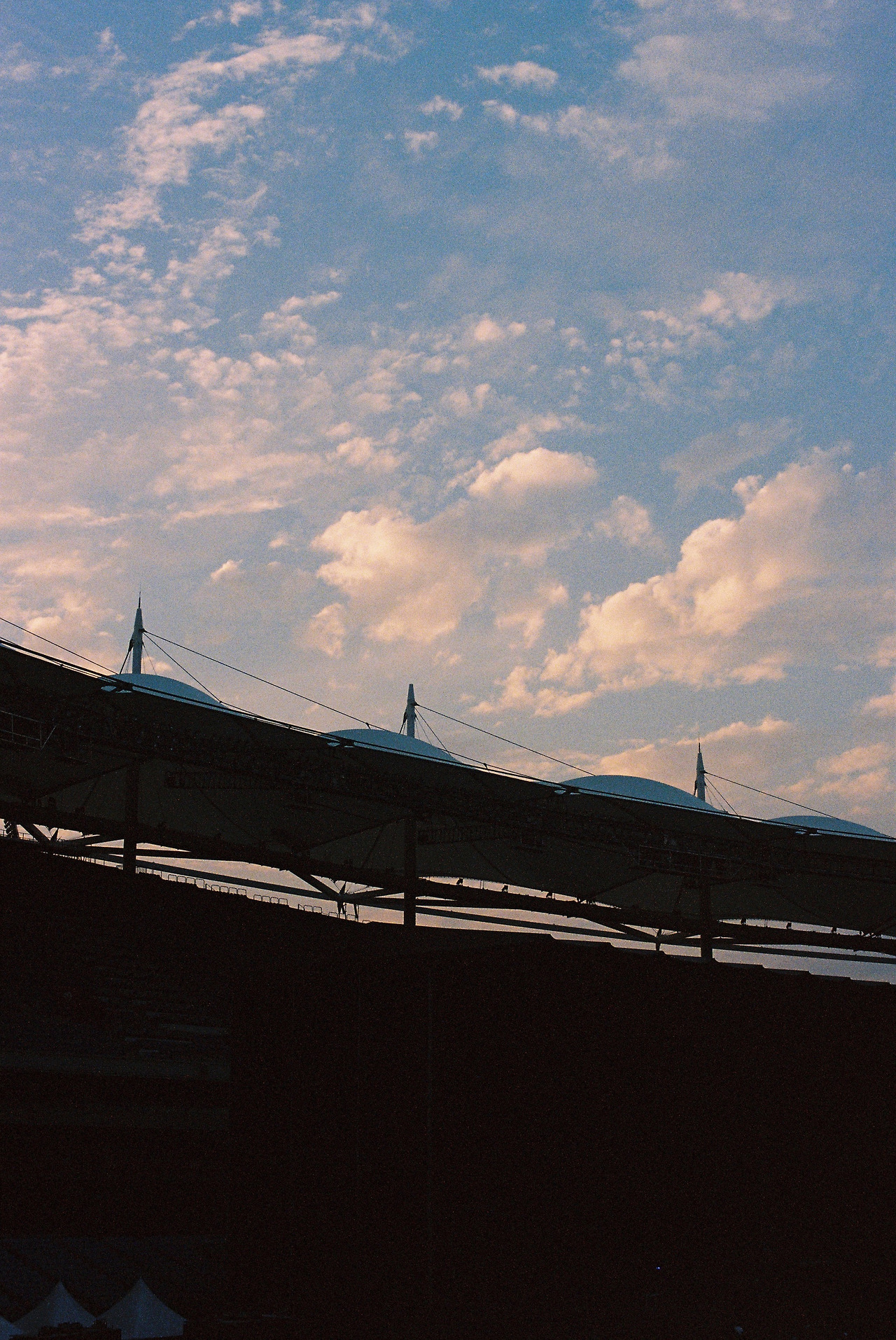 20251003_062226 (1).jpg