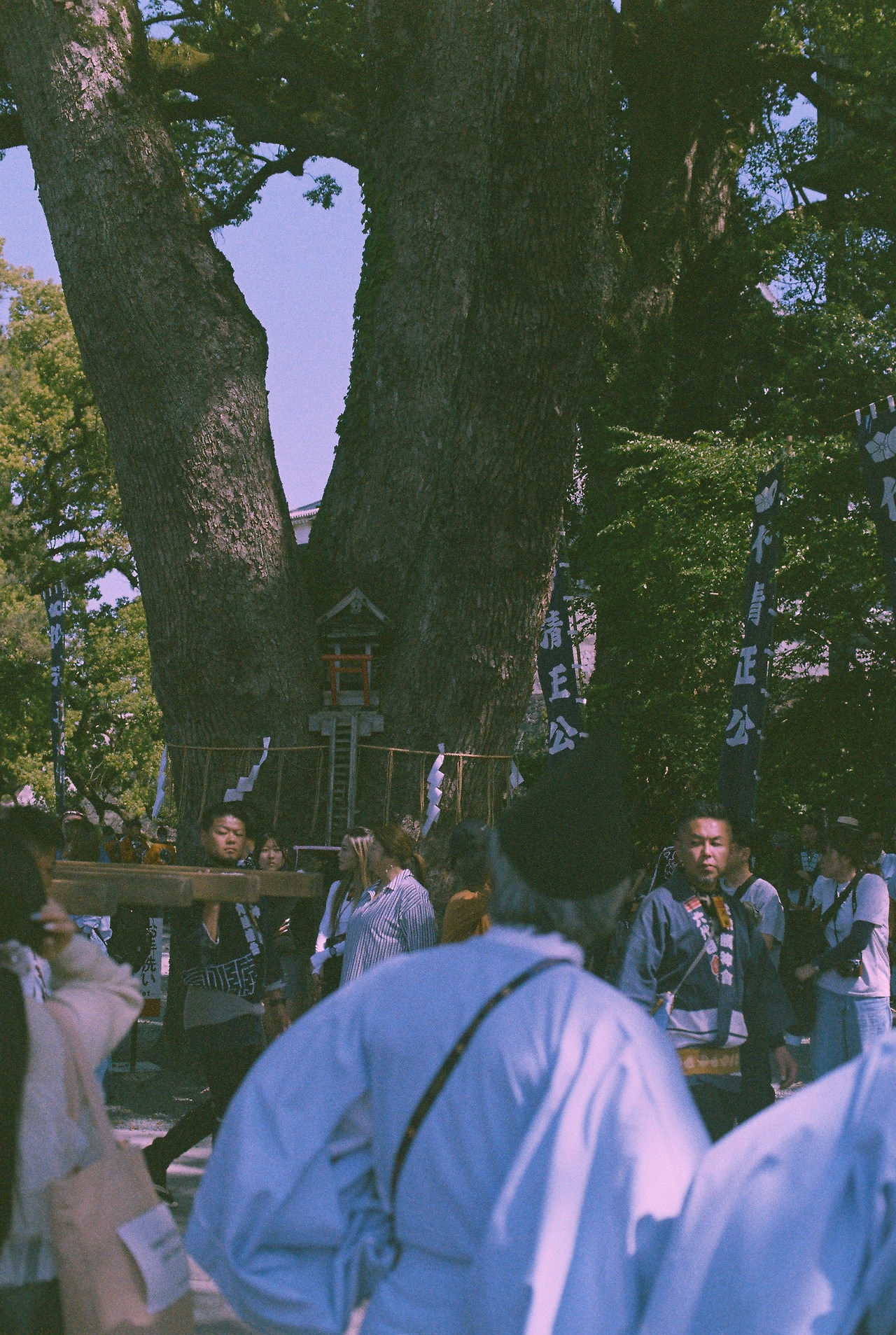 20250509_035730 (2).jpg