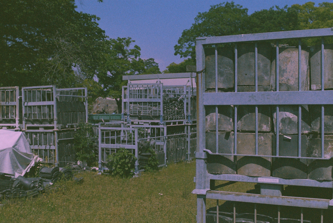 20250509_035730 (6).jpg