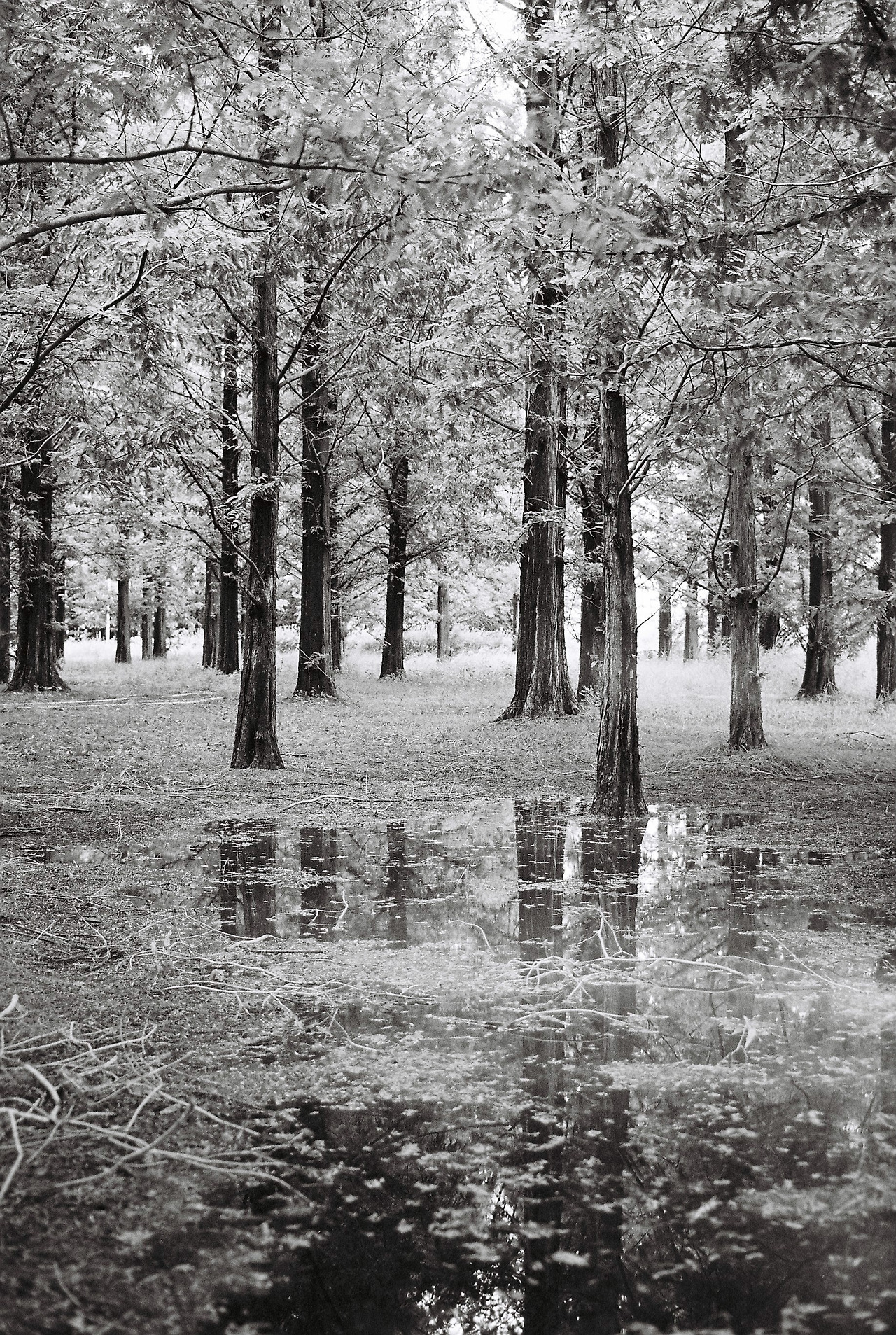 20240715_021605 (23).jpg