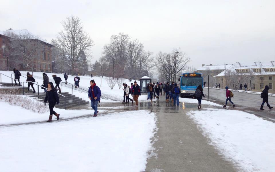 장을 보다.jpg