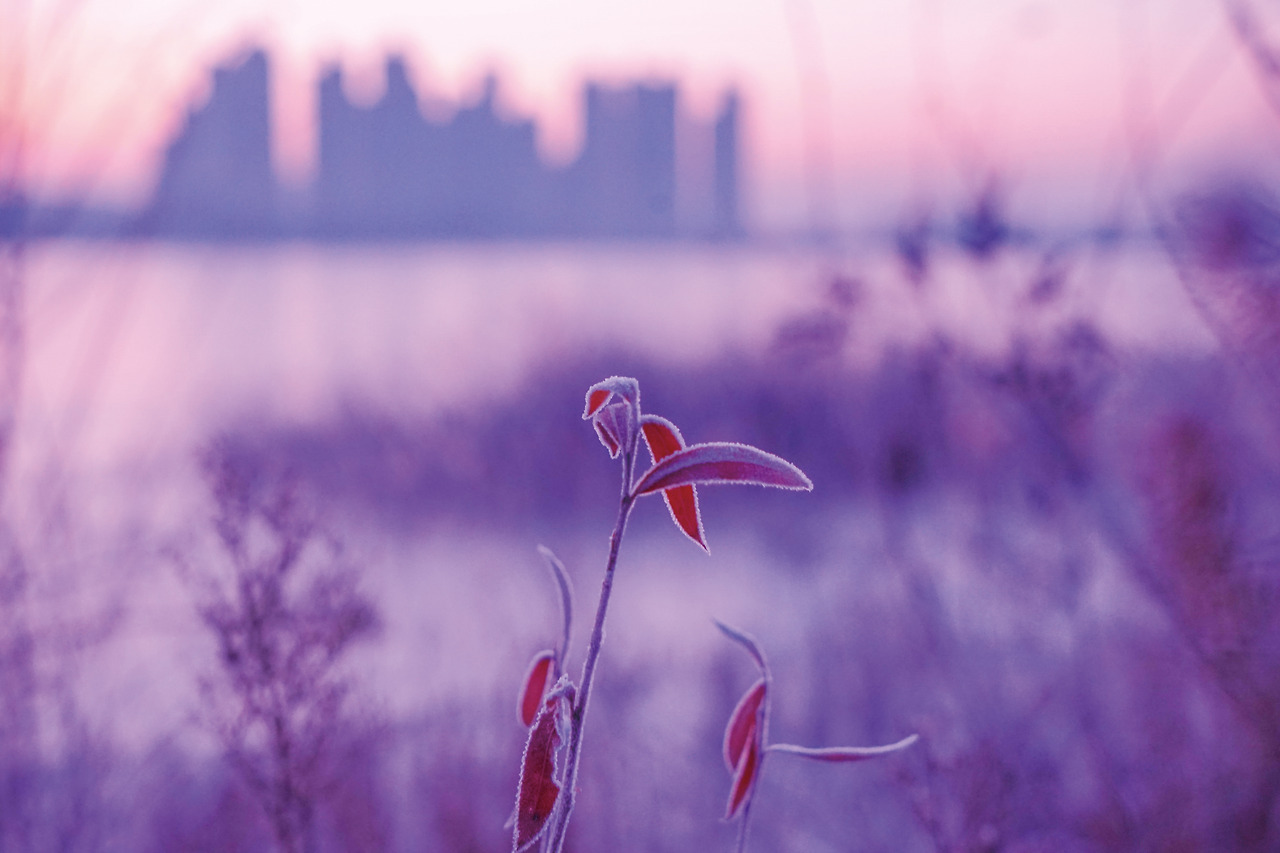 나의 시가 되어준 당신께.jpg